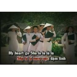 Vietnamese Karaoke Song